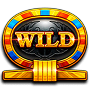 Wild